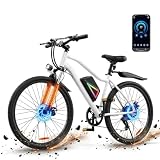 Finbike Vélo Électrique Adulte26, 36V 10.4Ah, Autonomie 100km