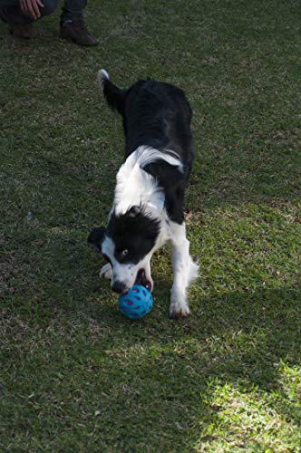 JW Bola Crackle Ball Para Cães, Azul, Medio