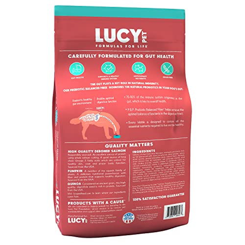 Lucy Pet Formulas For Life Salmon, Pumpkin, & Quinoa Dry Dog Food, All Breeds & Life Stages, Digestive Health, Sensitive Stomach & Skin - 25 Lb #TOP1