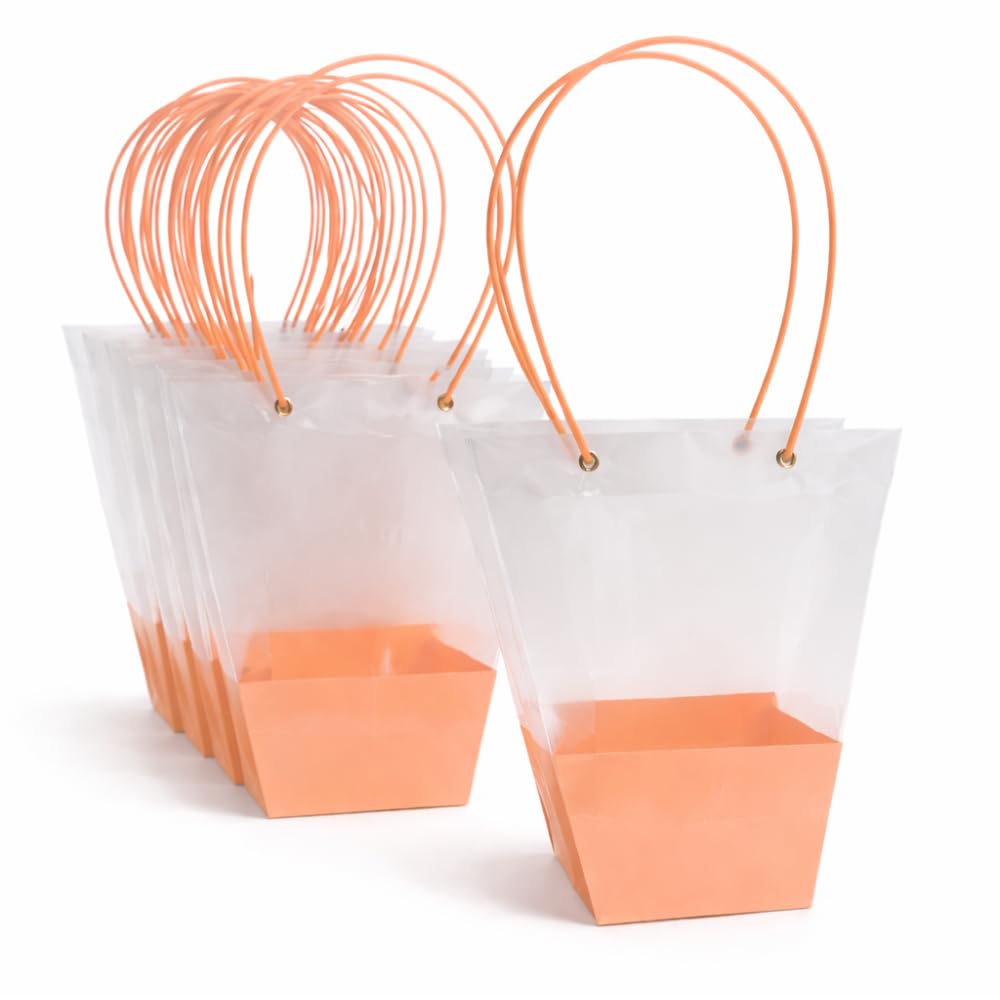 Oasis Transparent Gift Bag, 10pcs, Foldable, Empty, Decorative, Reusable, 12x44 cm, Multipurpose Birthday, Anniversary, Wedding, Return Gifts Hamper Packaging Transparent Dual Color Peach-image-27