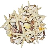 Nautical Beach Decor - Coastal Starfish & Seashell Garland - 8 Feet