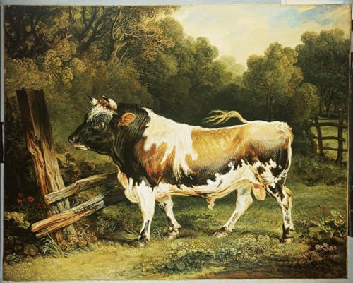 Tableaux peinture sur toile animal Alderney decoration chambre adulte 60x90cm