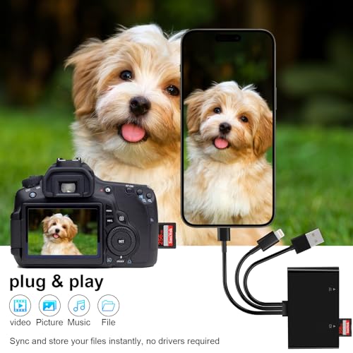 Lecteur de carte SD TF MS XD multi-embouts pour iPhone 16 et Mac
