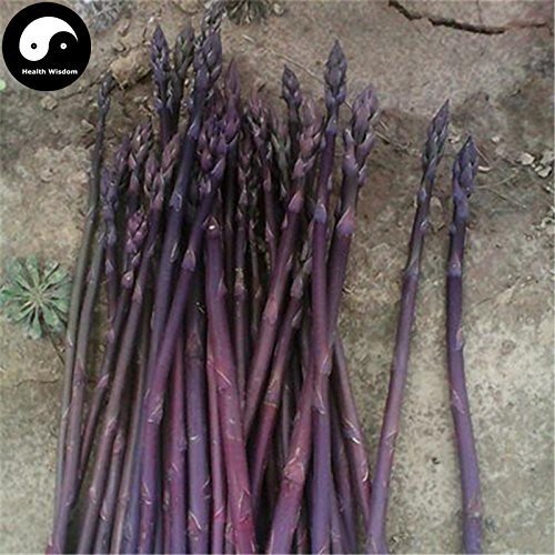Buy Purple Asparagus Vegetable Seeds 120pcs Plant Buds Vegetables Asparagus Officinalis