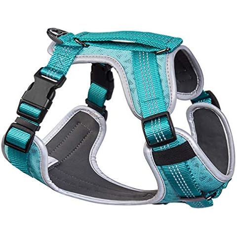 Embark Sports Dog Harness, Easy On and Off, Breathable Dog Harnesses with Control Handle - Size Adjustable and Non Choke (Small, Teal) Cover