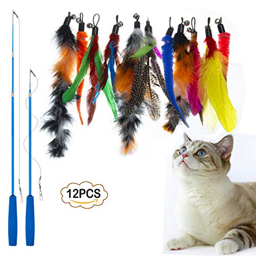 WolinTek Jouet à Plumes pour Chats,Interactif Rétractable Canne a Peche Jouet avec 11 Recharges et Une pièce de Rechange Crochet pour l'intérieur Chats et Chatons