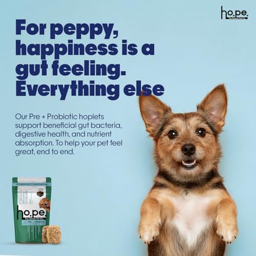 Image of Hope Pre & Probiotics Supplement for Dogs -30 Vegan hoplets | Tasty Pet Chews with Hing for Absolute Gut Health, Gas, Itching, Scratch Relief | Cold-Pressed| Air-Dried | Tasty | Honest Pet Co