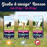 Eukanuba Hundefutter mit Lachs & Gerste für große Rassen - Trockenfutter für ausgewachsene Hunde, 12 kg