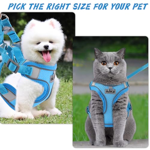 FINEASY Hundegeschirr mit Leine, Reflektierend, Hundegeschirr Kleine Hunde, Sicherheitsgeschirr Hund Ausbruchsicher, Brustgeschirr Hund, Geschirr für Haustiere, Katzen, Klein, Welpen (Blau, S)