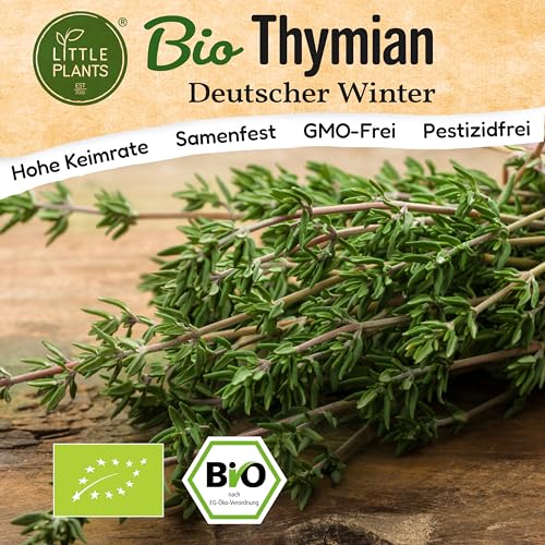 Little Plants BIO Thymian Samen 1000 Thymiansamen Deutscher Winter Kräutersamen für Kräutergarten Hochbeet Samenfest Kräuter Samen für Küche, Balkon und Garten Küchenkräuter