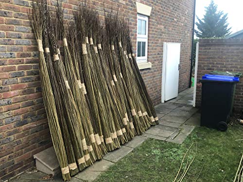 Living Willow Whips for Replanting. (Salix viminalis/Common Osier), Straight Whips in Bundles, Grown Organically in UK, harvested and Handled by Hand, Native to The UK (10, 150cm/5ft)