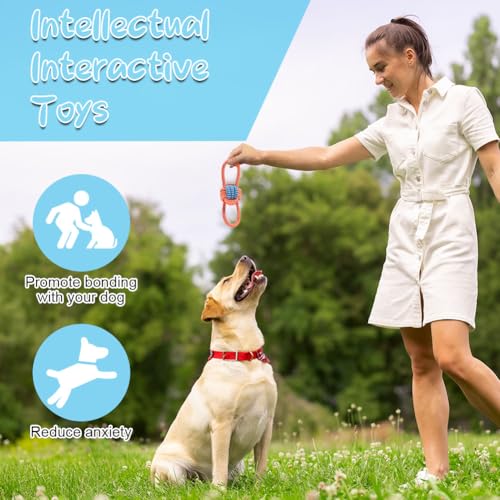 AMFUN 7 Stück Hundespielzeug Set für Kleine und Mittlere Hunde, Plüsch Mit Quietscher, Kauspielzeug für Welpen