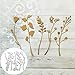 Produktbild litty089 Schneidwerkzeug, Blumenblatt Pflanze Schneidwerkzeuge Sammelalbum Bastelform Papierkarte DIY Schablonendekor Silber