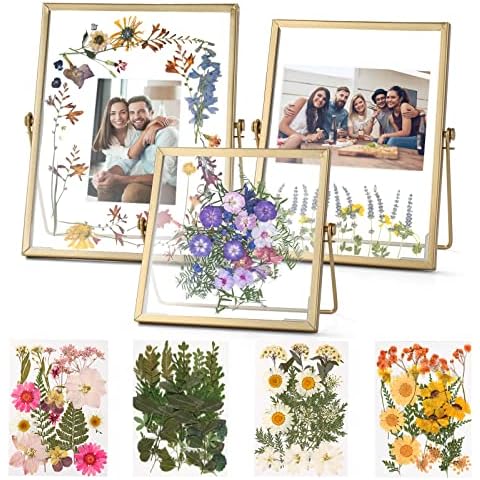 Set of 3 Glass Pressed Flowers Frame Collection, 4"x4", 4"x6", 5"x7" Gold Metal Floating Standing Glass Picture Frames, Tabletop Pressed Glass Artwork Frame Home Decor Photo Display Cover