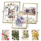 Relaxing Garden Gold Picture Frame Set - /w 68 Pcs Dried Flowers and Tweezer - Double Glass Frame fo