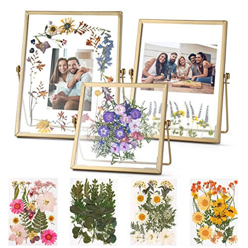 Relaxing Garden Gold Picture Frame Set - /w 68 Pcs Dried Flowers and Tweezer - Double Glass Frame for Pressed Flowers, Pressed Flower Frames for Handicrafts, Photo or Other Flat Items.