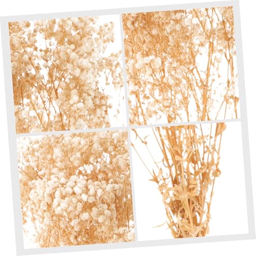 Ramo de flores secas Gypsophila blanco natural miniatura 6