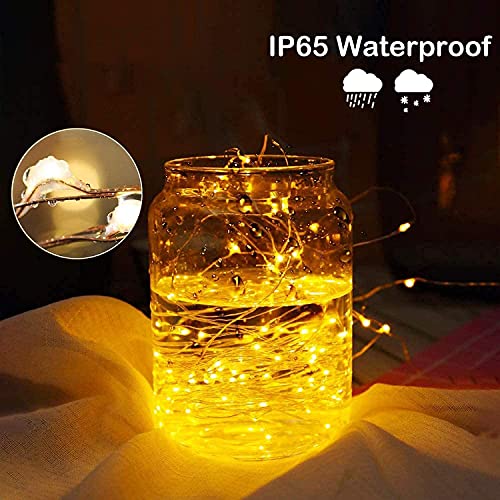 Image of Desidiya 8 Modes 100 LED Indoor Outdoor Decoration Curtain Lights with Remote and Battery Power Supply (Warm White)