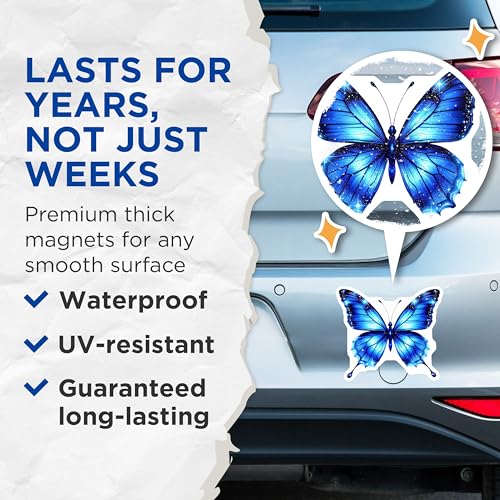 2 Imán Mariposa Azul Decorativo 5 in Magnético Pack miniatura 4