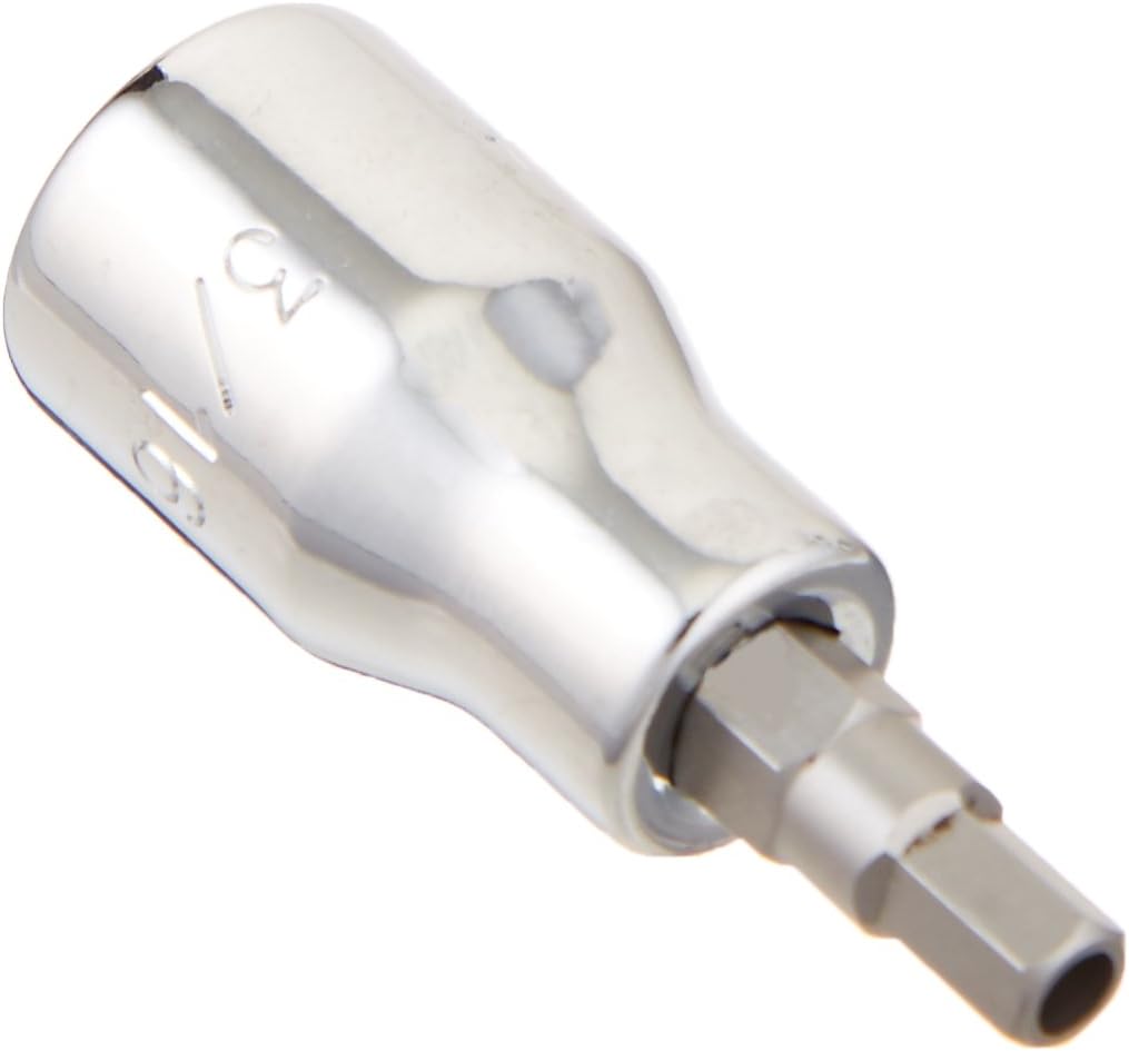 SK Tools USA 3/8" Drive, 3/16", Standard, Chrome Tamper-Proof Hex Bit Socket | 44212