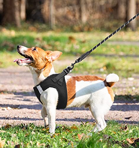 Breathable Air Mesh Dog Harness with Reflective Leash, Adjustable No Pull Step in Vest Harness for Small Dogs Puppies… - Image 7