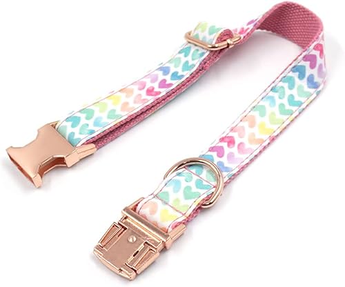 Miniatura 7 de PETDURO Collar de perro personalizado con nombre y teléfono grabado en hebilla de metal, personalizado para perros pequeños, medianos y grandes,