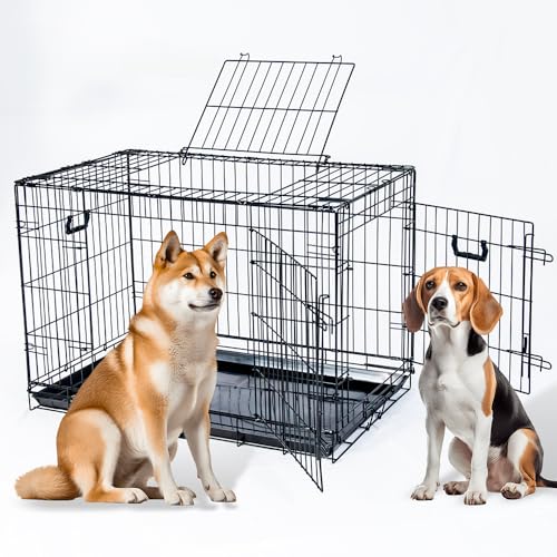 v`o ybgP[W X[hA  L LLTCY g[t 56×s91×64cm X`[ 3hA P[W Q[W ybgT[N ybgQ[W ܂肽 ^ ^ ^