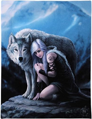 Anne Stokes Wall Canvas Plaque – Protector Magic