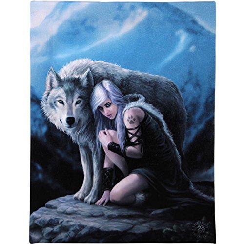 Anne Stokes Plaque murale en toile - Protection magique Cover