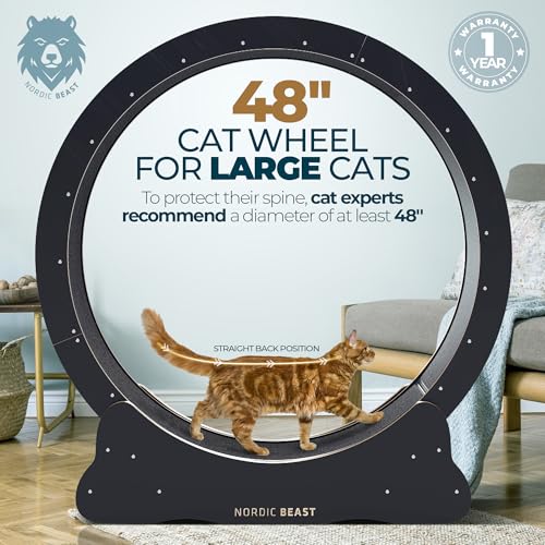 Image of Nordic Beast 48'' XL Cat Wheel - Safe, Quiet & Stable Exercise Wheel for Large Indoor Cats up to 45 lbs - 15.7'' Extra-Wide Surface Fits 2 Cats Side by Side & Prevents Wobbling, 1-Year Warranty