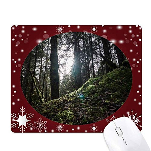 Tapis de souris paysage vert foncé sur le thème science et nature hivernale