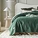 Produktbild ROOM99 Feel Elegante Tagesdecke in Dunkelgrün 200 x 220 cm Vielseitige Wohndecke Bettüberwurf oder Sofaüberwurf Überwurfdecke für Bett und Sofa Steppdecke Stil Ideal als Bedspread Velvet Samt