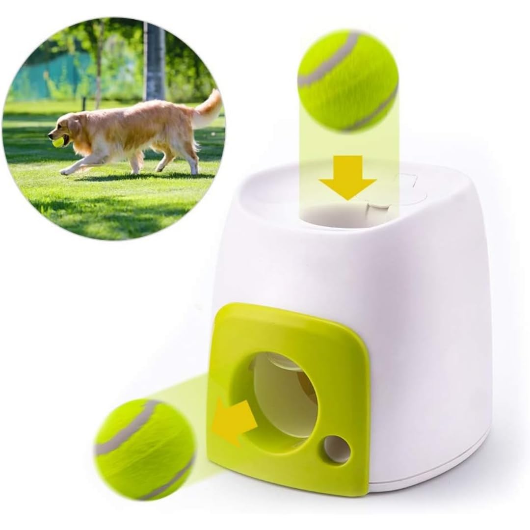 Générique Lanceur Automatique de Balle pour Chien, Lanceur de de Tennis interactif, Jouet Rechargeable pour Chien, Jeu d'entraînement de Stimulation mentale pour intérieur (3 balles de Tennis)