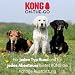 KONG Sportschuhe für kleine Hunde 4 Stück in Größe S I Hochwertiger Pfotenschutz mit Polsterung I Bequeme Schuhe für Hundepfoten I Einfache & sichere Nutzung I Robustes & waschbares Material