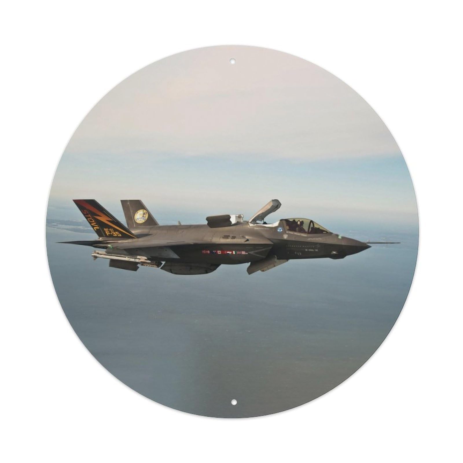 Olyhtr 8X8inch Classic Style F-35B Stealth Fighter Jet Military Aviation Vintage Metal Tin Sign
