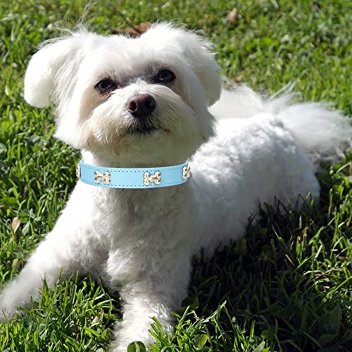 HALFSUMO Leather Dog Collar Dog Collar Combo Set Dog Collars Adjustable Puppy Collar for Small Medium Dogs Cats Azure Blue S - Image 2