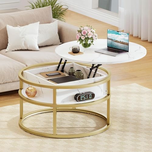 DWVO Coffee Tables for Living Room, Round Lift Top Coffee Table with Storage and Hidden Compartment, Rustic Small Circle Coffee Table, Wood Farmhouse Center Table, White and Gold