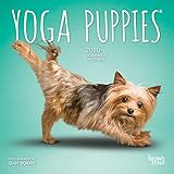 Yoga Puppies 2020 7 x 7 Inch Monthly Mini Wall Calendar, Animals Humor Puppy