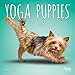 Yoga Puppies 2020 7 x 7 Inch Monthly Mini Wall Calendar, Animals Humor Puppy