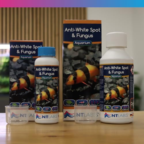 NT Labs Aquarium Anti White Spot & Fungus Treatment, Cures White-Spot Disease, Treats Fish Fungus, Freshwater Aquarium Medicine (250ml - Treats 1250L) - Image 2