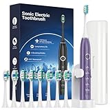 Rtauys S5 Sonic Electric Toothbrush for Adults with 8 Brush Heads, IPX7 Travel Electric Toothbrush with Travel Case, 2.5 Hours Charge for 120 Days, 5 Modes with 2 Minutes Built in Smart Timer Purple