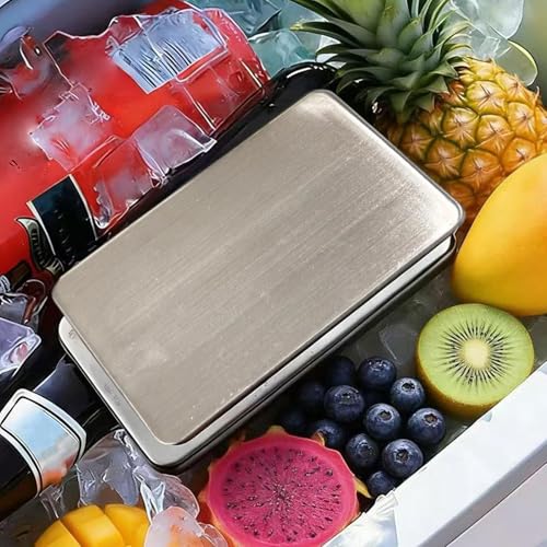 Finis les aliments tièdes grâce au pack de glace en acier inoxydable