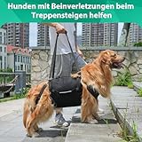 Hundetragetuch & Anschnallgurt Hund Auto,Tragehilfe Hund mit Gehhilfe-Funktion,Verstellbares Reha-Ganzkörpergeschirr als Zuggeschirr oder Notfallrucksack,Für Hunde mit Gelenkproblemen L