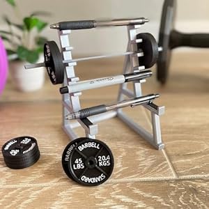 Squat Rack Pen Holder Fun Desk Accessories for Office Funny Pen Holder for Men Desk Mini Pen Organizer Unique for All Fitness Enthusiasts and Weightlifting Fans