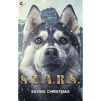 Saving Christmas