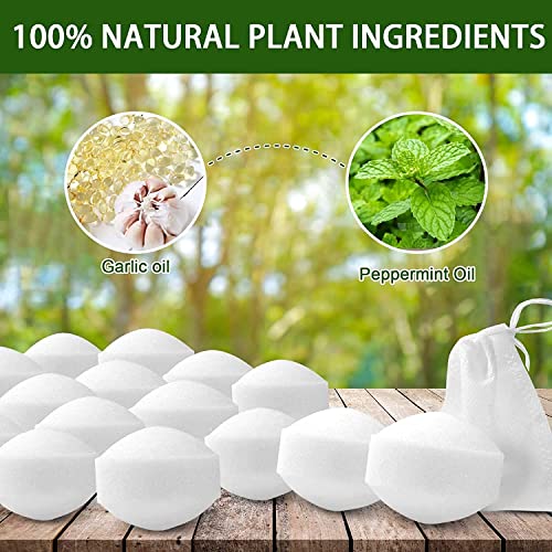 24 Pack Stray Cat Repellent Dog Repellent Peppermint Oil To Repel Cats And Dogs, Natural Dog Cat Deterrent, Keep Cats Dogs Off Lawn, Garden, Mulch & Flower Beds, Human & Pet Safe #TOP2