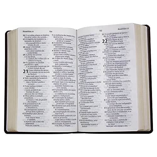 Bíblia Sagrada AEC - Letra Grande - Capa Marrom