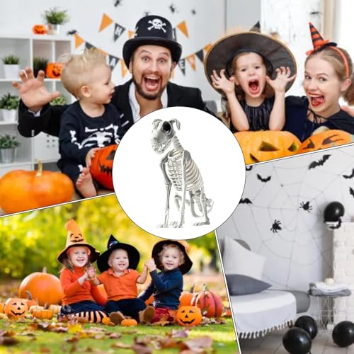 Perro esqueleto de Halloween para decorar casas embrujadas este otoño 7