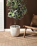 Zoom IMG-1 beliani vaso da giardino per Zoom IMG-1 beliani vaso da giardino per