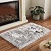 Goolela Grey Fluffy Fuzzy Furry Rug 2x3 Gray Faux Sheepskin Fur Rug for Bedroom Living Room Dorm Small Soft Bedside Carpet Plush Washable Rectangle